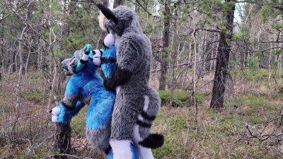 Horny Furries Fuck In The Wild - upornia